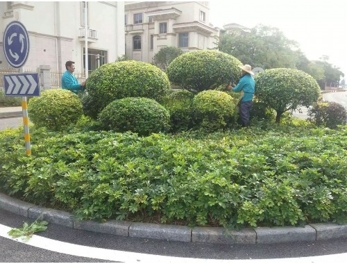 宜昌市区绿化工程