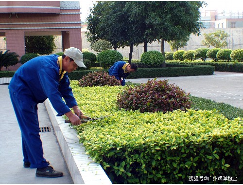 烟台景观绿化工程定制价格